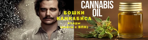 ГАЛЛЮЦИНОГЕННЫЕ ГРИБЫ Алексеевка