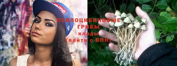 ГАЛЛЮЦИНОГЕННЫЕ ГРИБЫ Алексеевка